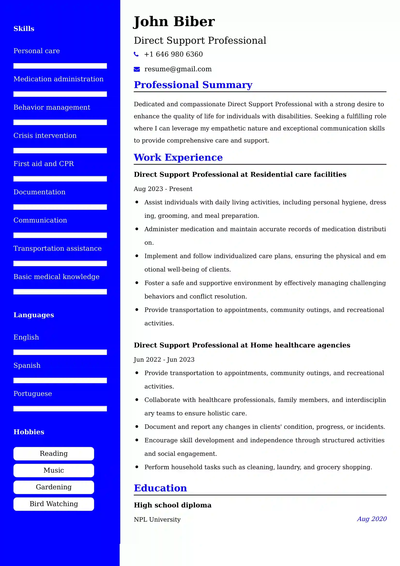 Direct Support Professional Resume Examples USA